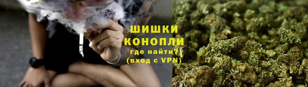 прущие крисы Алзамай