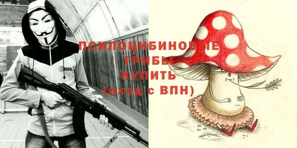 дживик Алексин