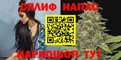 сатива Тара