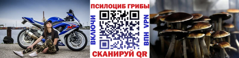 цена   Южно-Сахалинск  Галлюциногенные грибы MAGIC MUSHROOMS 